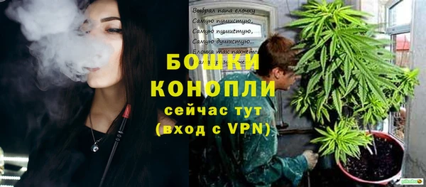 ПСИЛОЦИБИНОВЫЕ ГРИБЫ Нефтегорск