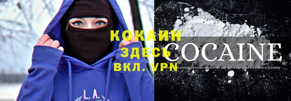 индика Навашино