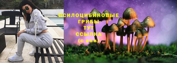 индика Навашино
